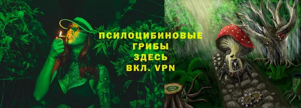 трава Надым